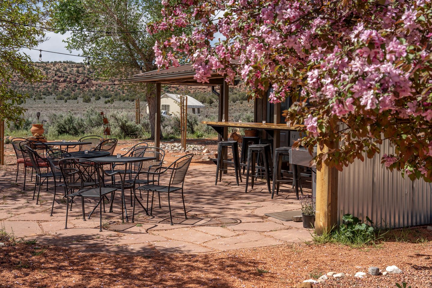 Kanab's Glamping Getaway with Your Pet: Comfort Meets Adventure