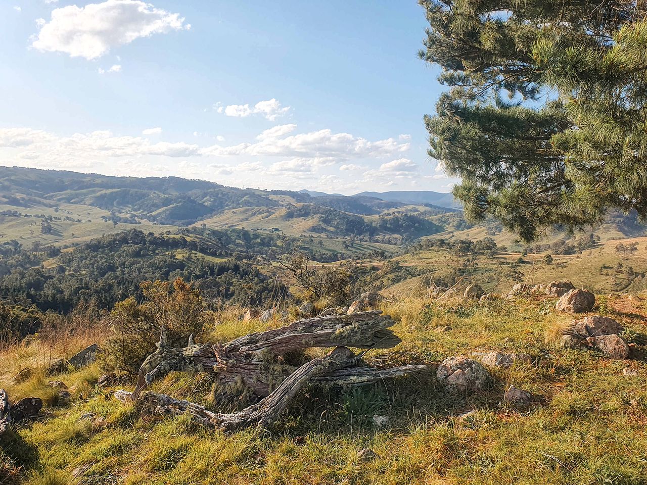 Enjoyable Tiny House with Great Sights in Kanimbla, New South Wales