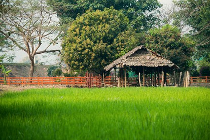 Exotic Escape near Rice Farms in Mae Wang, Chiang Mai, Thailand - Photo 3