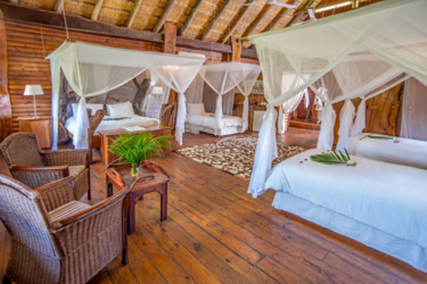 Family-Friendly Safari Accommodation in Makutsi Reserve, South Africa