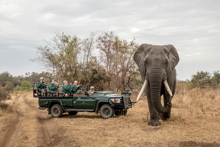 Safari Getaway near Drakensberg Mountains with a Pool in Limpopo, South Africa | Nature Lodges (Hoedspruit, Limpopo, South Africa)