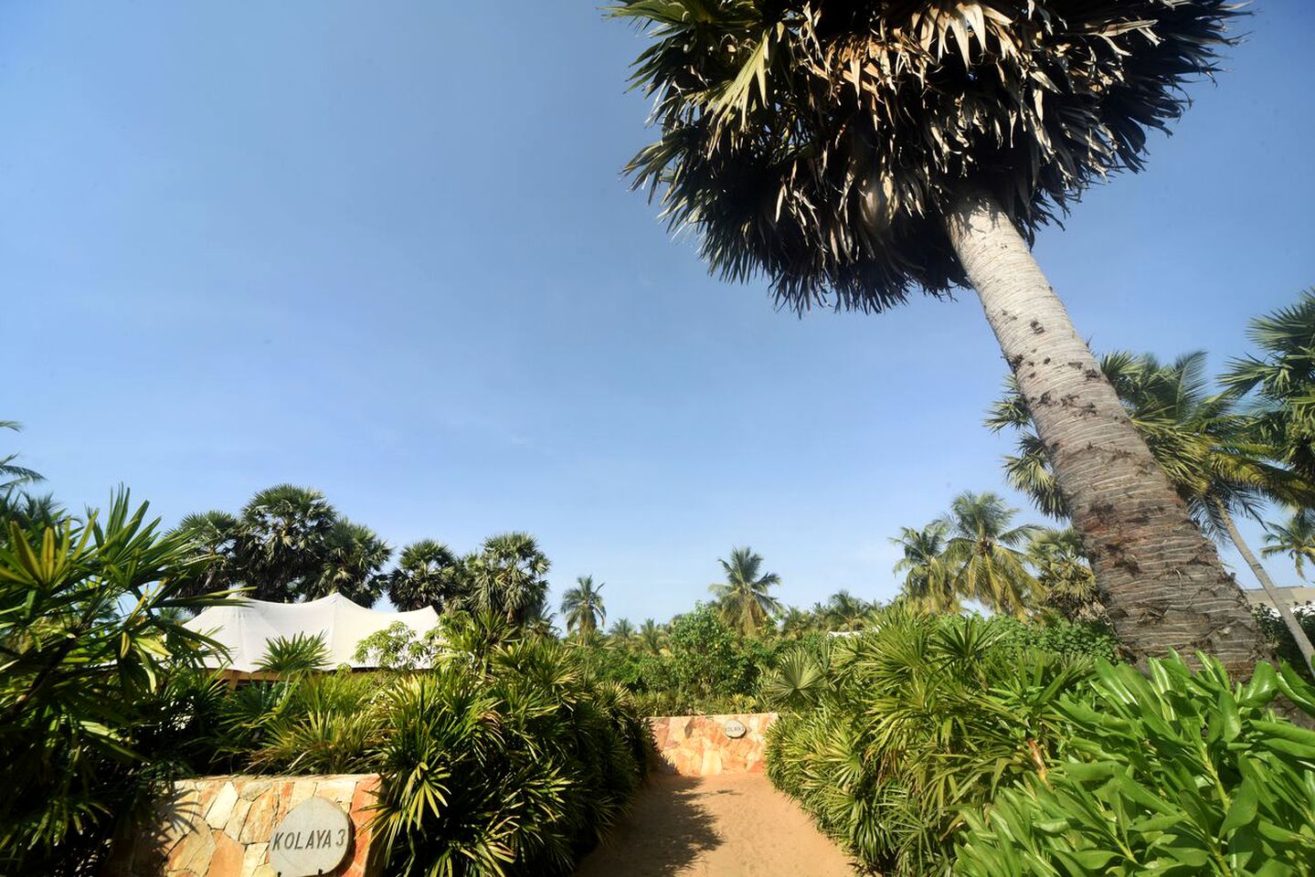 Tented Cabin with a Private Garden for a Romantic Getaway to Kalkudah Beach, Sri Lanka