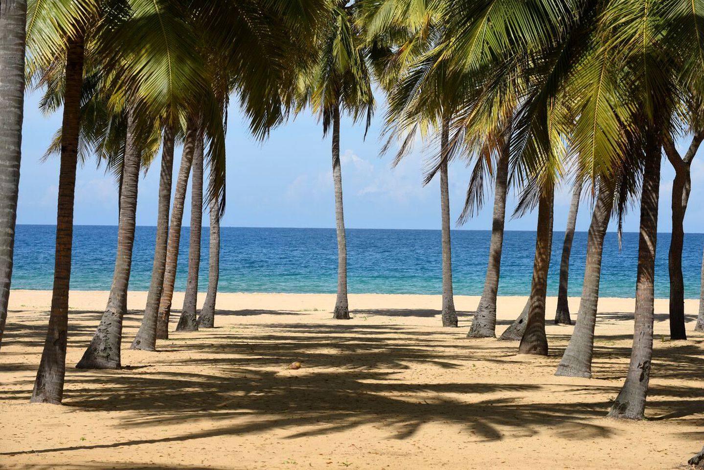 Beachside Tented Cabin Getaway at a Resort near Batticaloa, Sri Lanka