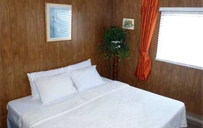 undefined photo 4