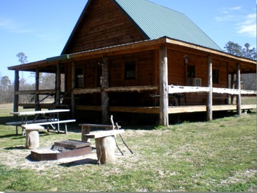 Kate's Creek Cabin photo 4