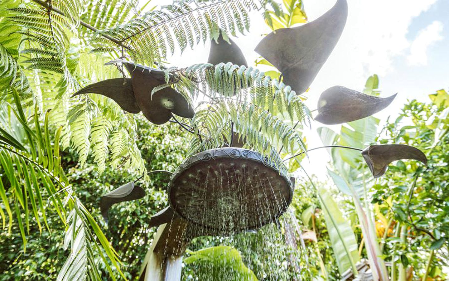 Luxury Lodge Rental with Saltwater Pool for Group Holiday in Palm Beach, Waiheke Island