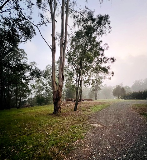 Tiny Houses (Australia, Wollombi, New South Wales)