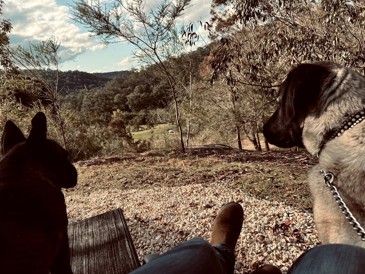 Pokolbin State Forest Tiny House Glamping in Wollombi