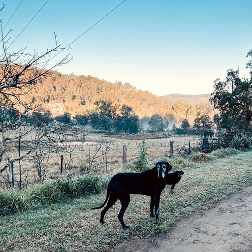 Tiny Houses (Australia, Wollombi, New South Wales)