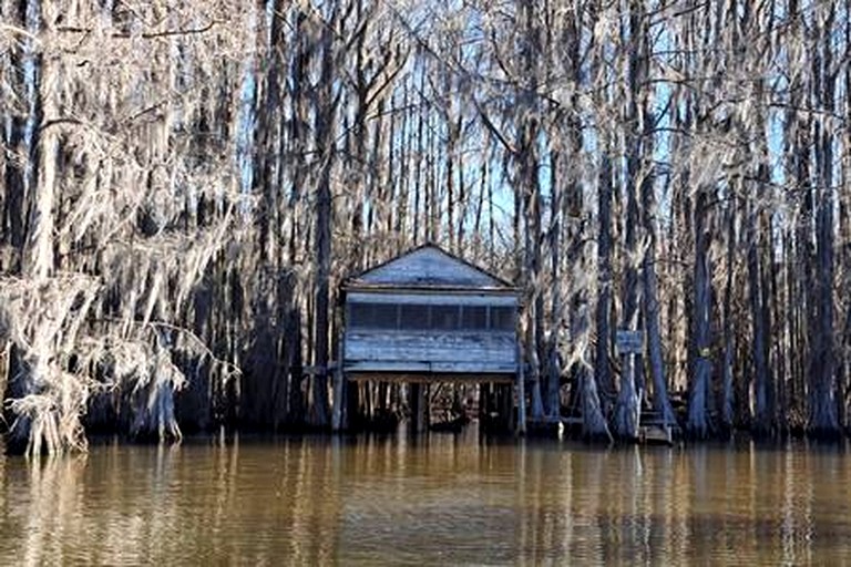 Vacation Rentals (United States of America, --, --)