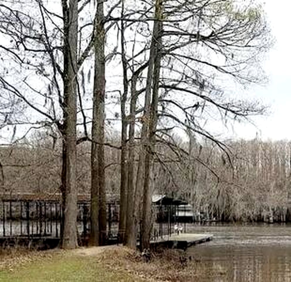 Quaint Lakefront Cabin Incredible for Water and Outdoor Adventures in Texas