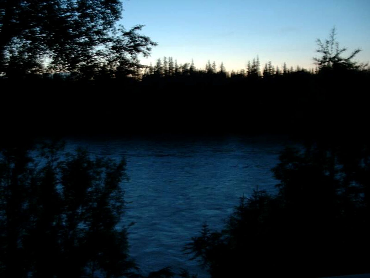 Spacious Riverside Cabin Rental with Gorgeous Woodland Views on Alaska's Kenai Peninsula