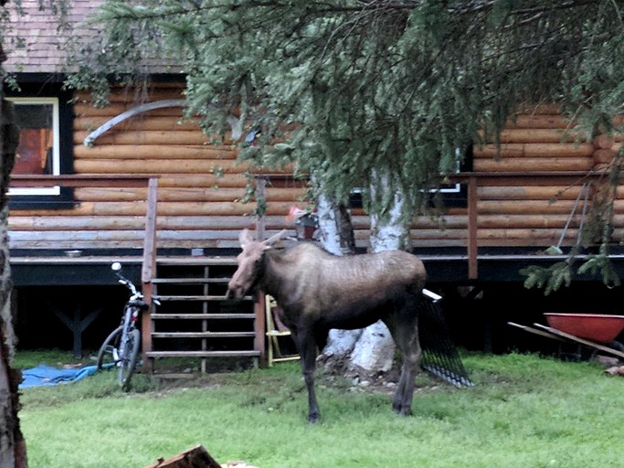 Cabins (Soldotna, Alaska, United States)