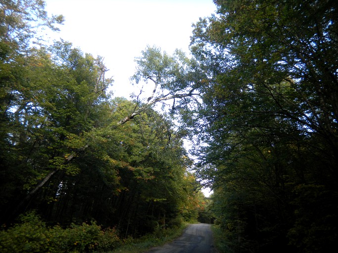 Cottages ( Haliburton, Ontario, Canada)