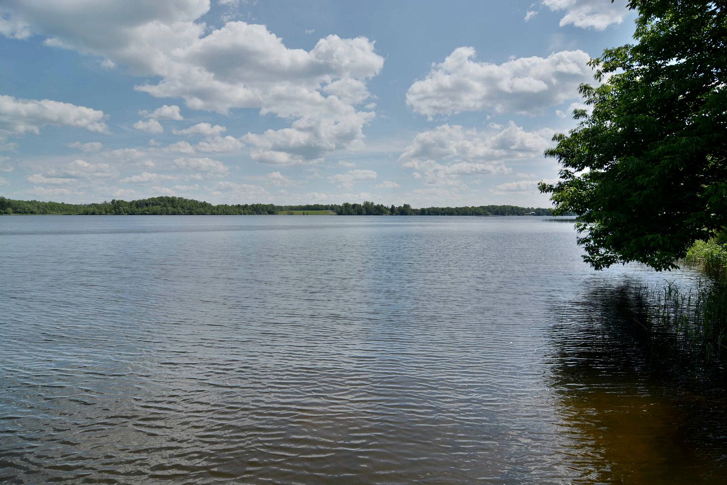 Spacious Cottage with Luxury Amenities For a Family Fun Glamping Experience near Lake Namekagon, Wisconsin