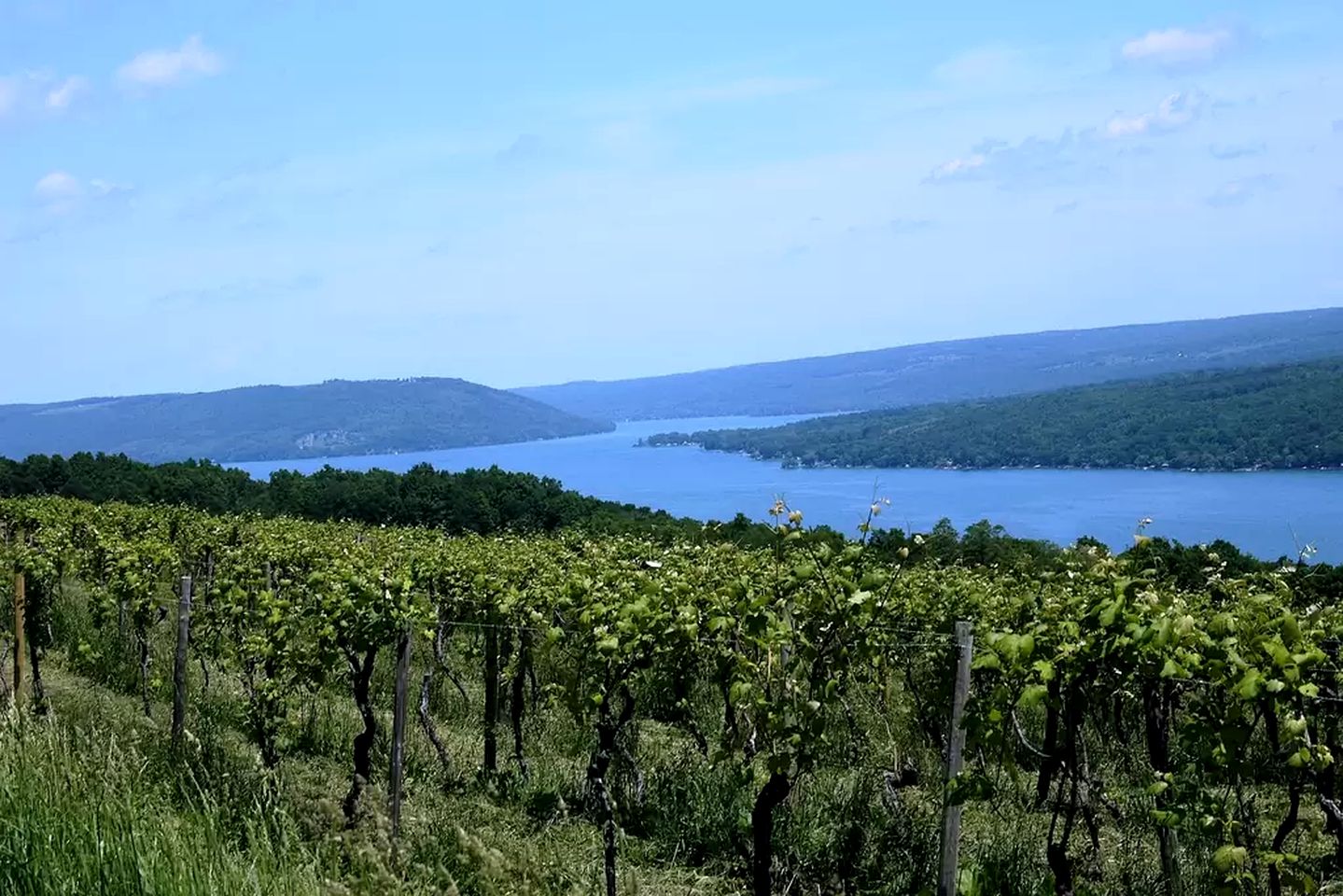 Rural Woodland Cabin Rental close to Keuka Lake near Rochester