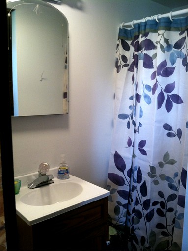 Cabins (Prattsburgh, New York, United States)