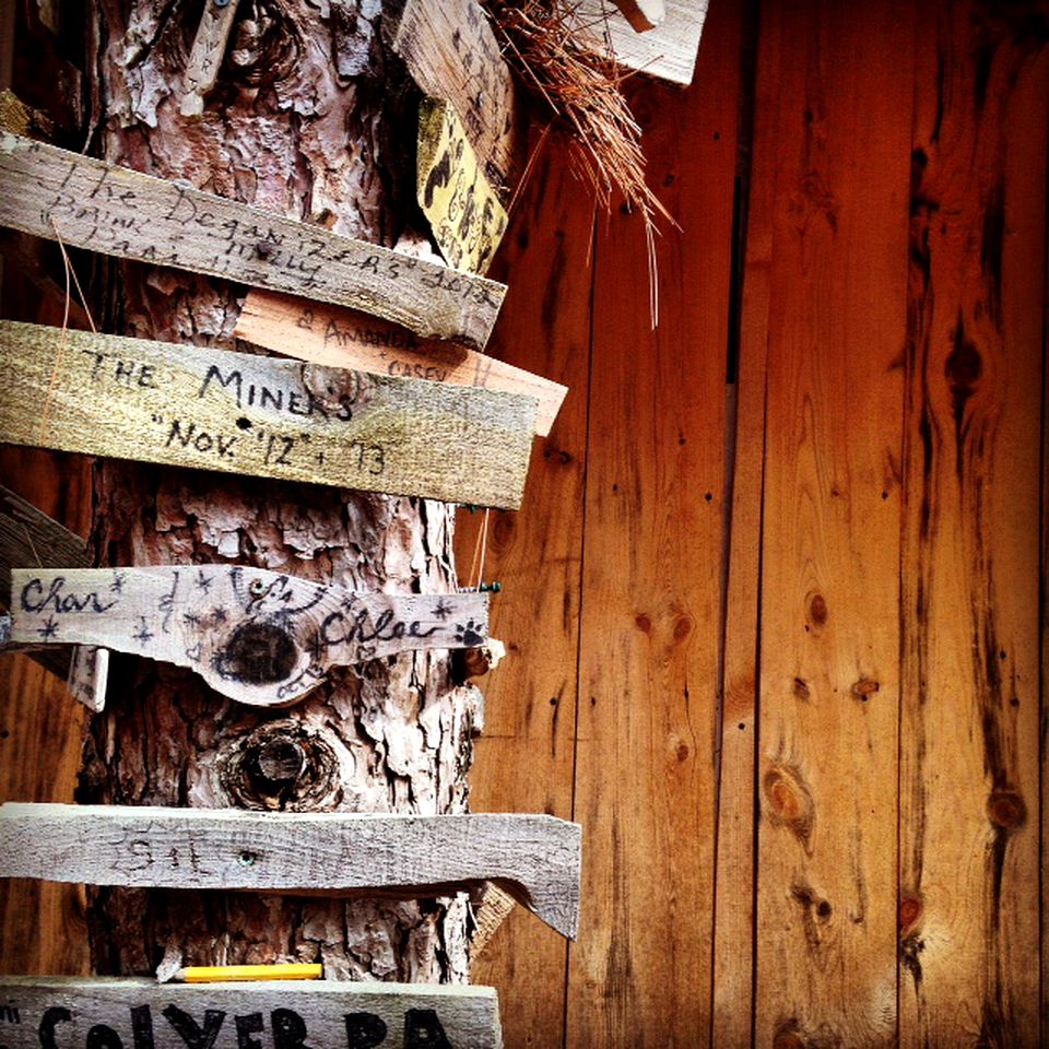 Rustic Camping Cabin in Finger Lakes Wine Country, Upstate New York