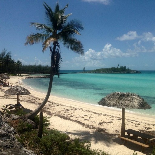 Beach Houses (Bahamas, Gregory Town, North Eleuthera)