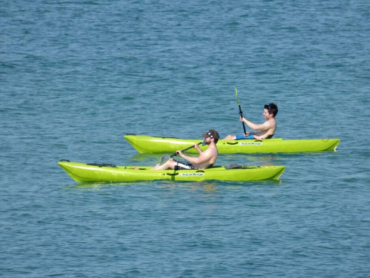 Charming Tropical Treehouse with Kayaks near Little Gasparilla Island, Florida