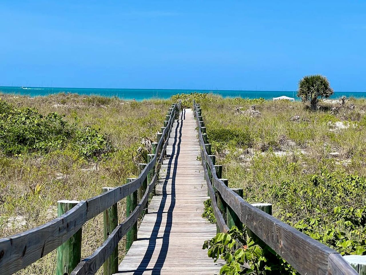 Charming Tropical Treehouse with Kayaks near Little Gasparilla Island, Florida