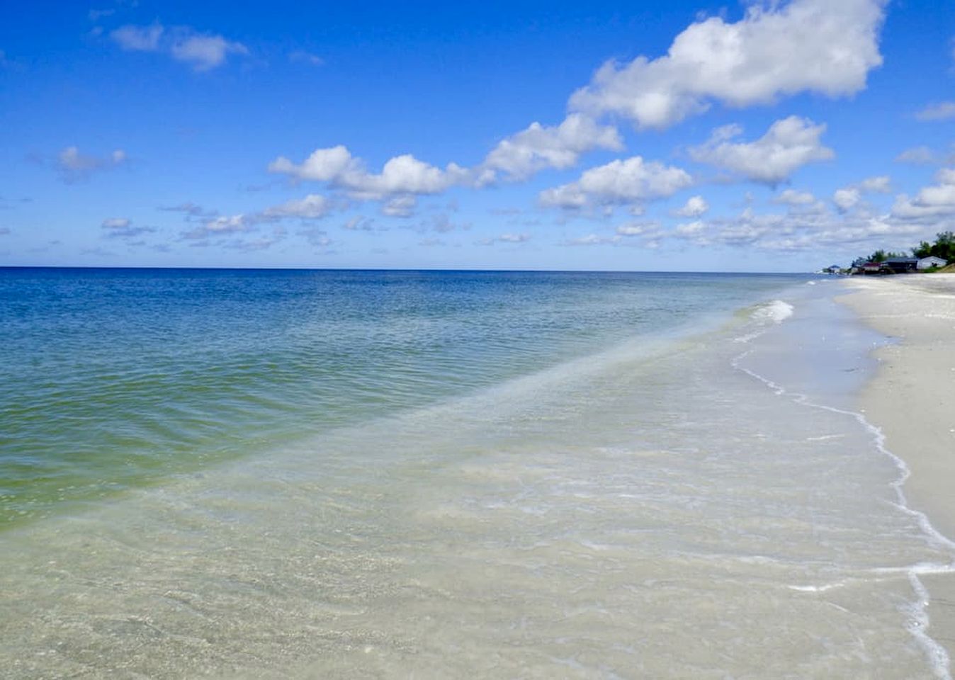 Charming Tropical Treehouse with Kayaks near Little Gasparilla Island, Florida