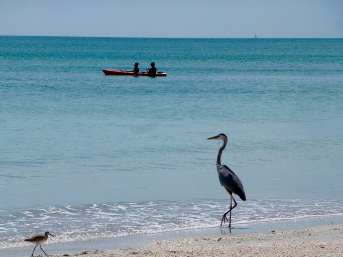 Vacation Rentals (United States of America, Placida, Florida)