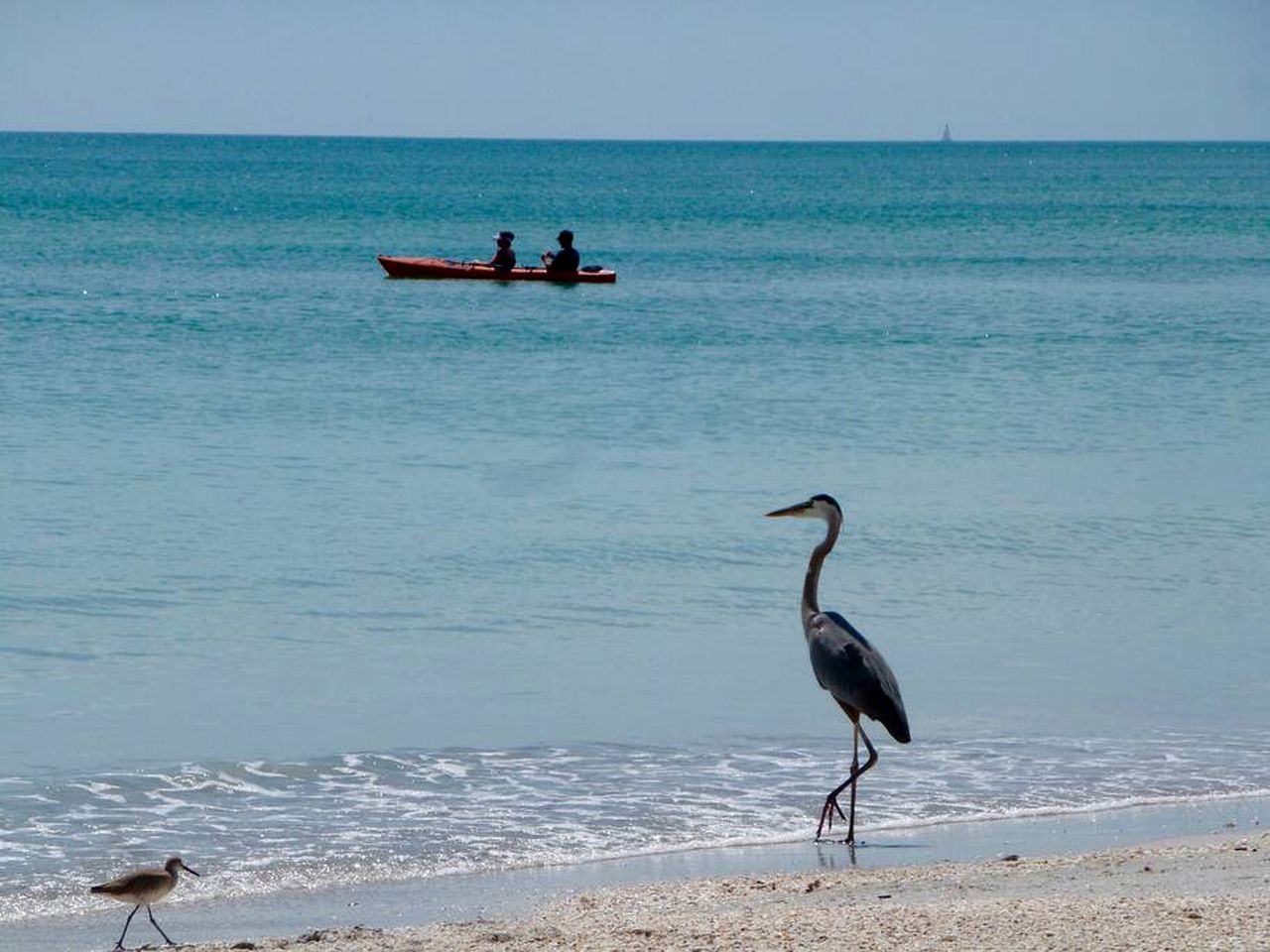 Charming Tropical Treehouse with Kayaks near Little Gasparilla Island, Florida