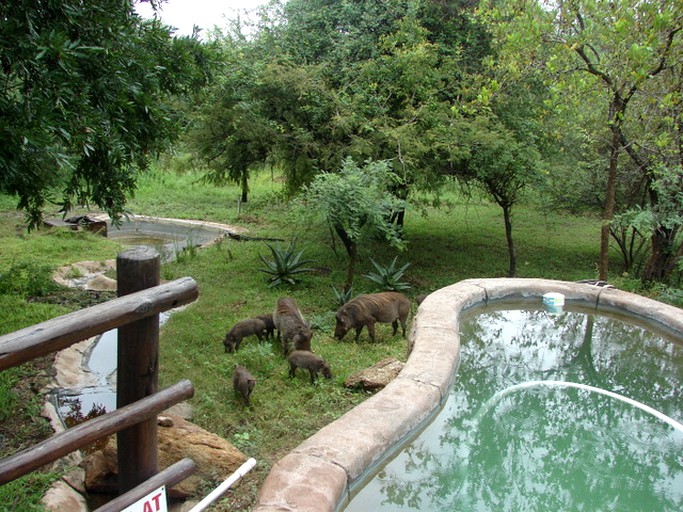 Vacation Rentals (Marloth Park, Mpumalanga, South Africa)