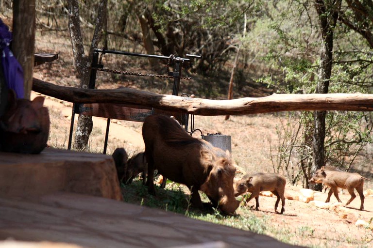 Safari Tents (Nairobi, Nairobi, Kenya)