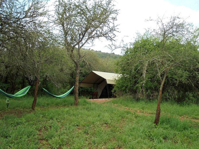 Safari Tents (Nairobi, Nairobi, Kenya)