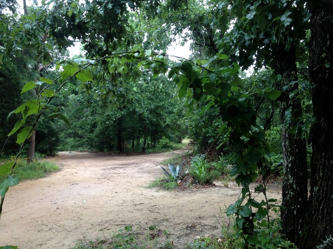 Cabins (United States of America, Ben Wheeler, Texas)