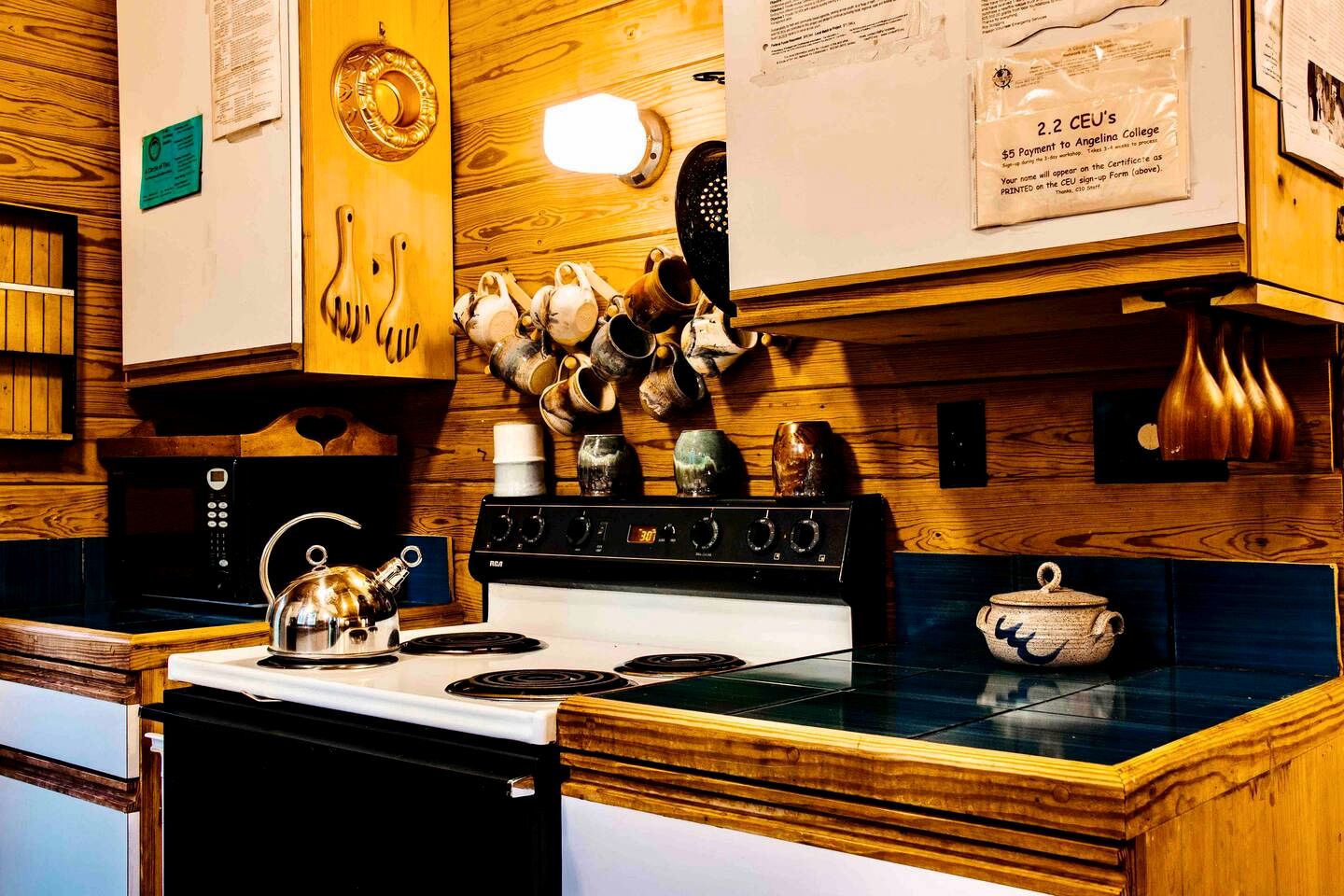 Cozy and Comfortable Kid-Friendly Cabin Rental for a Memorable Family Getaway Nestled in the Serene Forest in Ben Wheeler, Texas