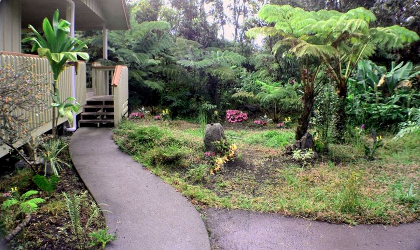 Rainforest Cabin Rental near Volcanoes on Hawaii Island
