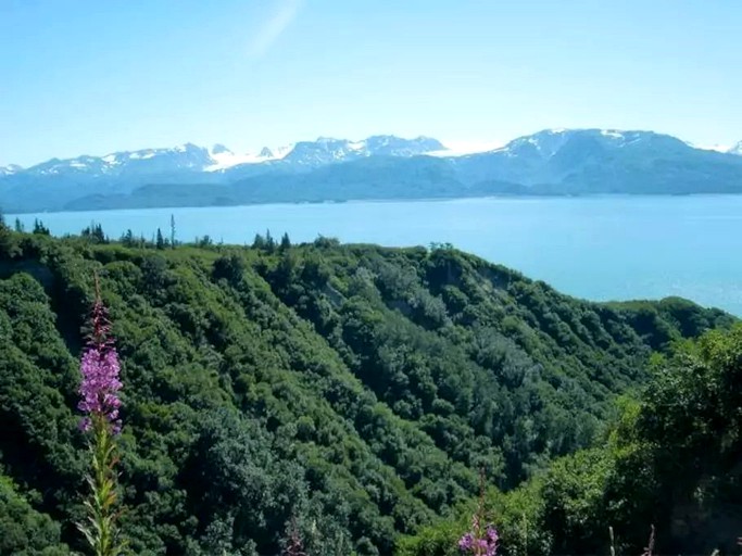 Cabins (Homer, Alaska, United States)
