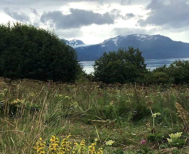 Caravans (Homer, Alaska, United States)