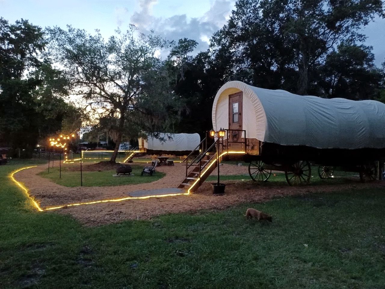 Luxury Highland Cow Glamping in Cozy Covered Wagon with Peaceful Farm Retreat in Melrose, Florida