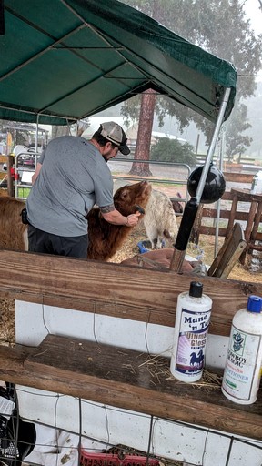 Cabins (United States of America, Melrose, Florida)