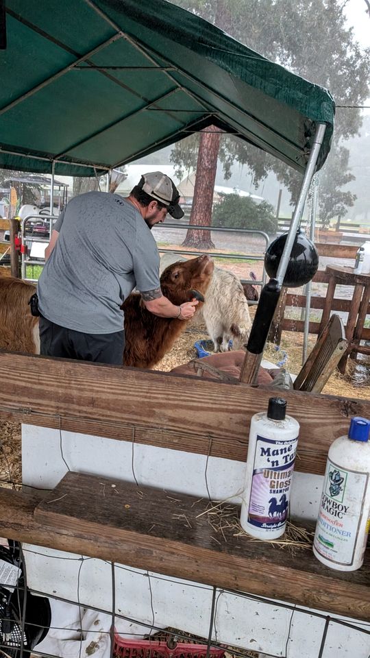 Luxury Highland Cow Glamping in Cozy Covered Wagon with Peaceful Farm Retreat in Melrose, Florida