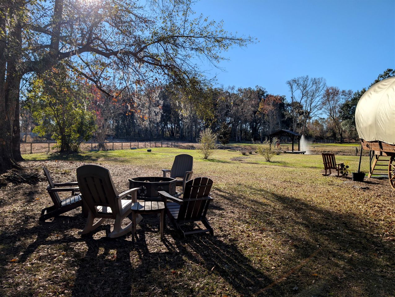 Luxury Highland Cow Glamping in Cozy Covered Wagon with Peaceful Farm Retreat in Melrose, Florida