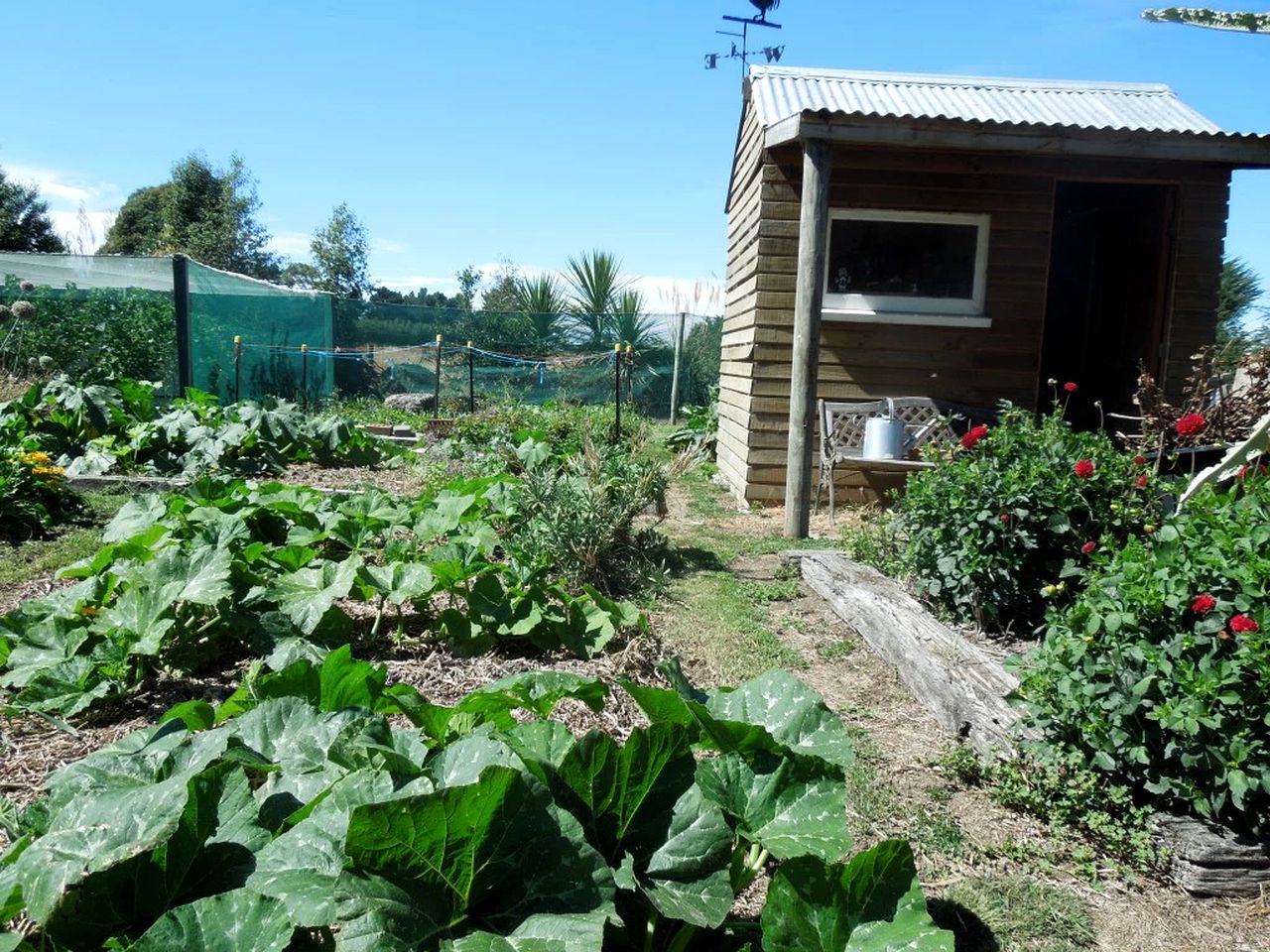 Cozy Bed and Breakfast Accommodation with a Garden in Lincoln, New Zealand