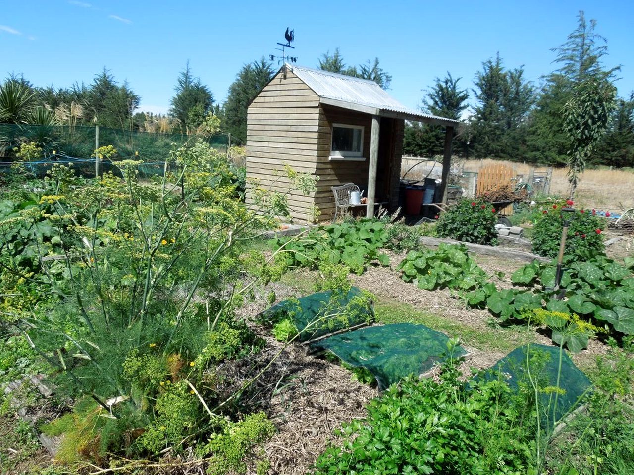 Cozy Bed and Breakfast Accommodation with a Garden in Lincoln, New Zealand