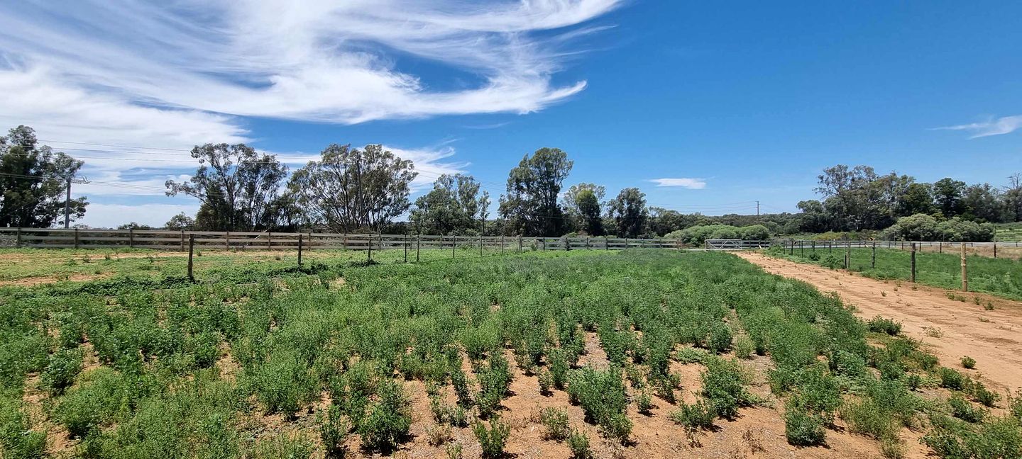 Charming Tiny House with Fire Pit in Victoria