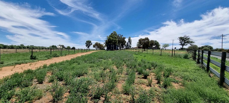 Tiny Houses (Australia, Mildura, Victoria)