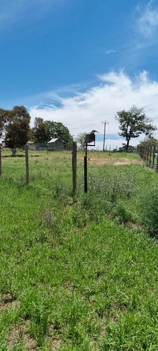Tiny Houses (Australia, Mildura, Victoria)