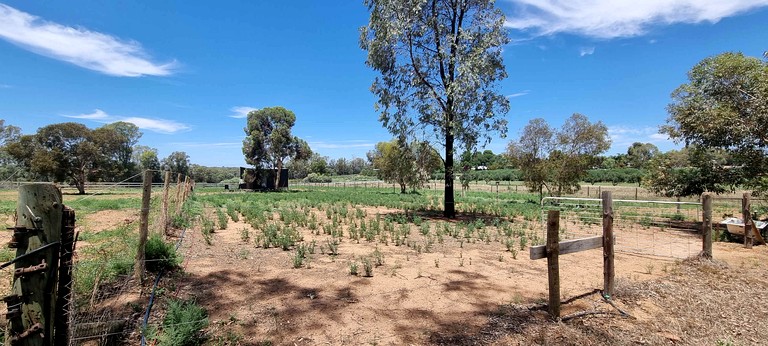 Tiny Houses (Australia, Mildura, Victoria)