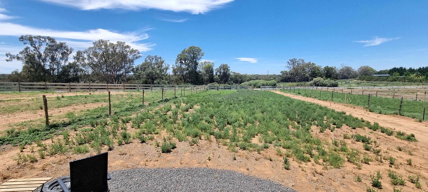 Charming Tiny House with Fire Pit in Victoria