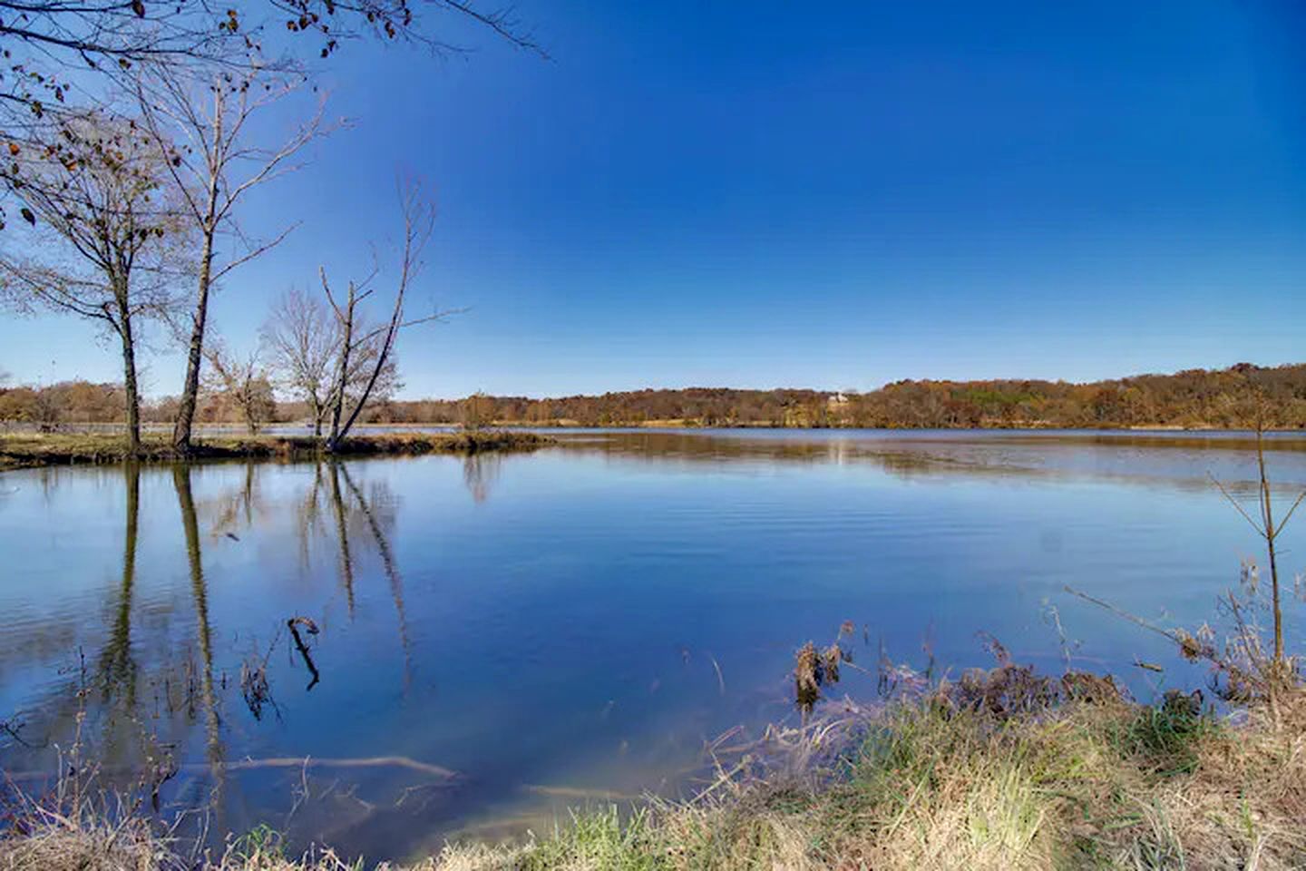 Tranquil Ozarks Studio Retreat with Woodland Views, Near Fishing, Hiking & Gentry, AR