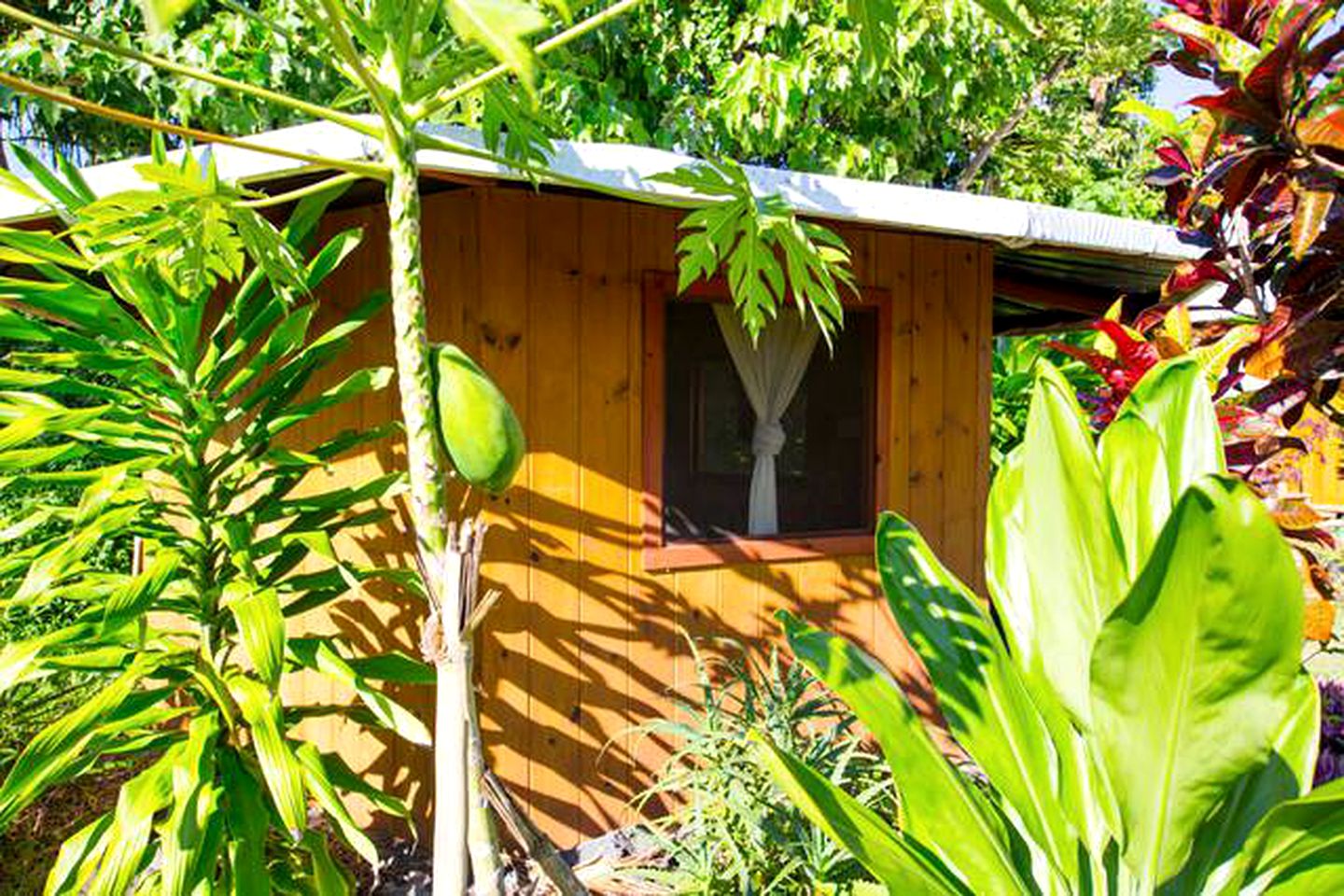 Intimate Retreat Cabin with Lush Surroundings in Pahoa on Hawaii's Big Island