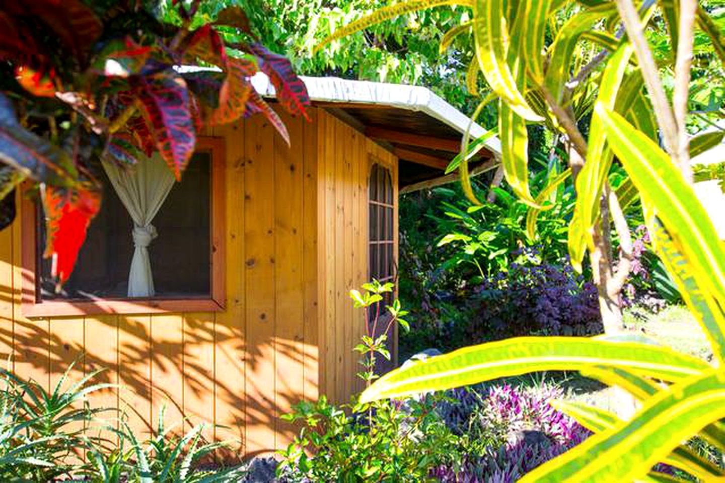 Intimate Retreat Cabin with Lush Surroundings in Pahoa on Hawaii's Big Island